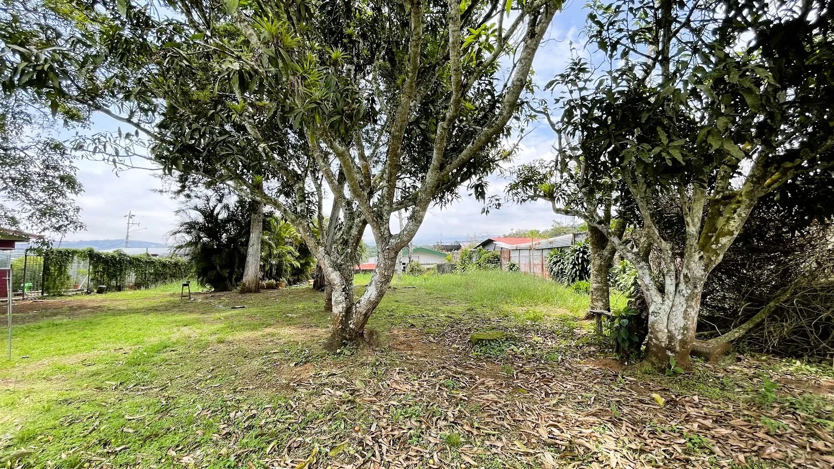 LAND FOR SALE IN SAN ISIDRO, SAN RAMON - image 14