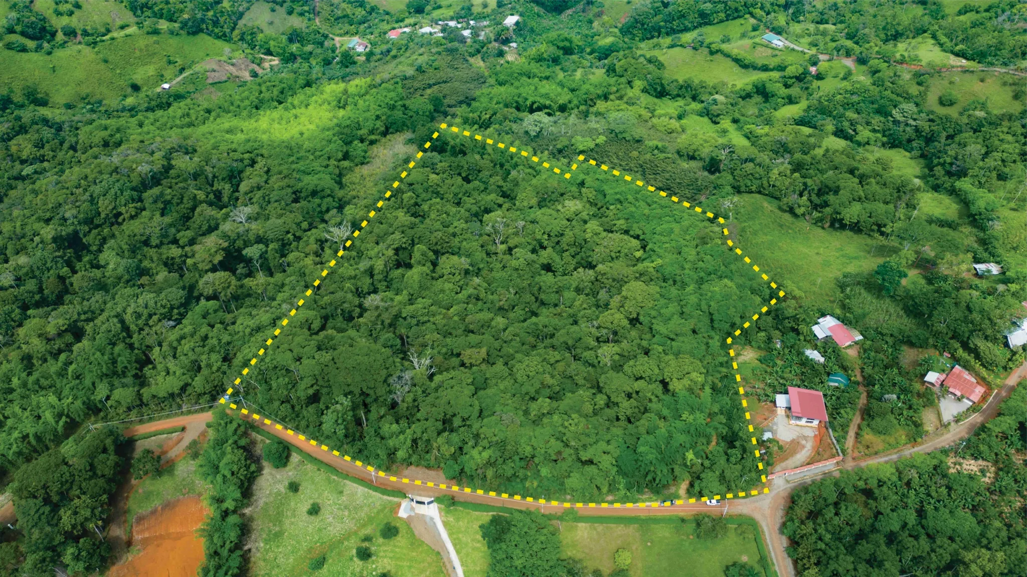 BAMBOO & FOREST PROPERTY IN PEREZ ZELEDON, COSTA RICA - image 2