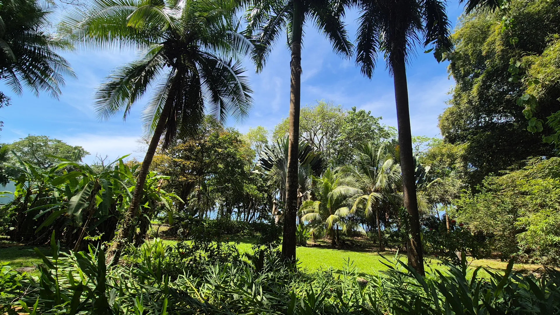Dream Beachfront Property at Ballena Beach in Uvita, Costa Rica - image 6