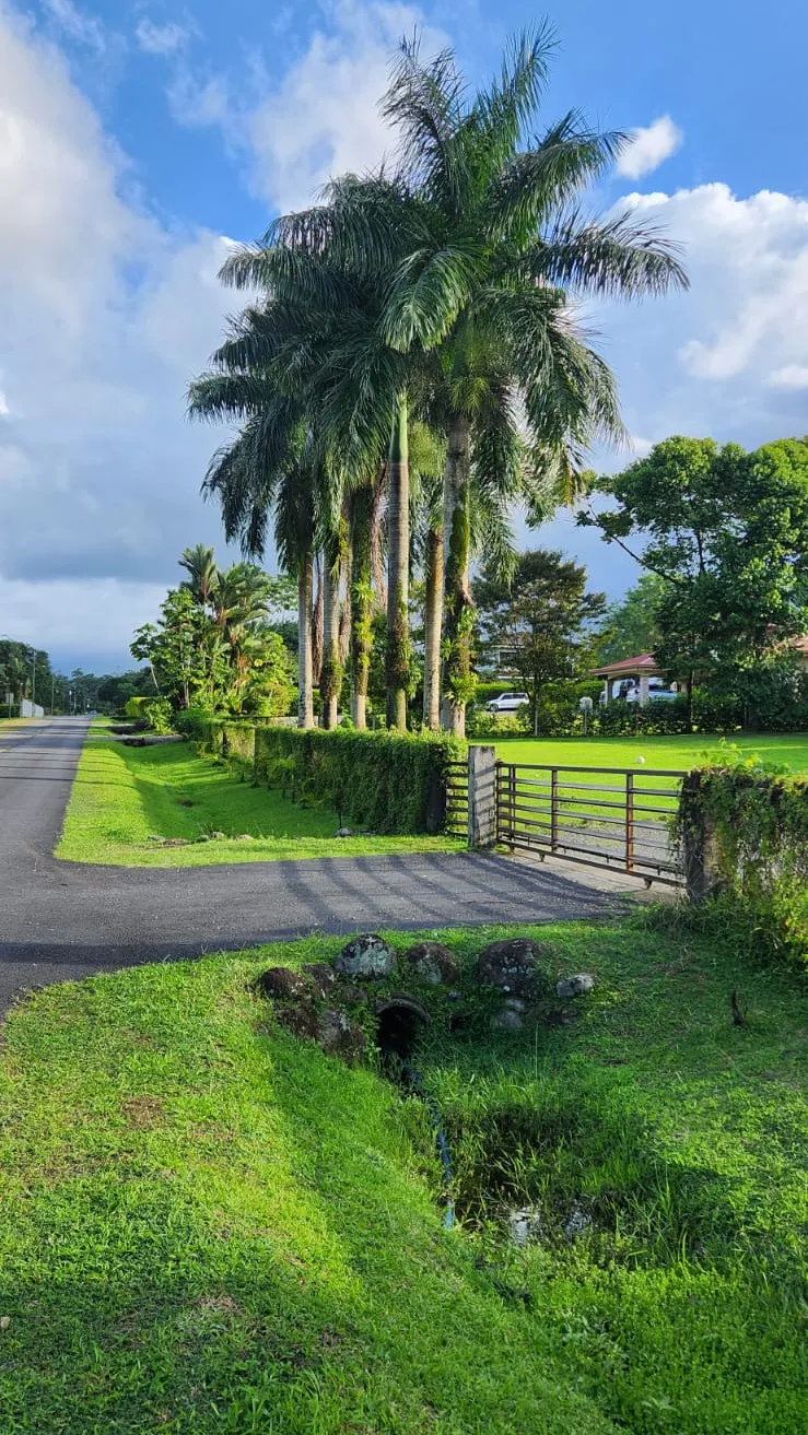 Sale / Imposing Property, Guapiles, Pococi, Limon  - image 3