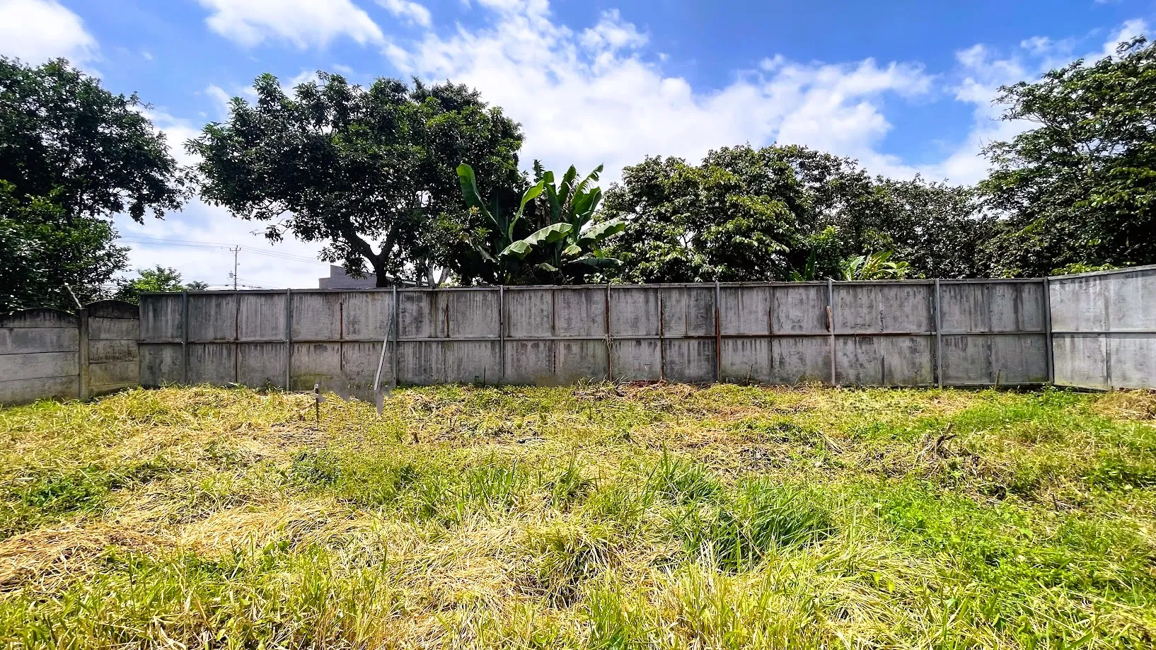 LOT FOR SALE IN SAN JUAN, SAN RAMON - image 6