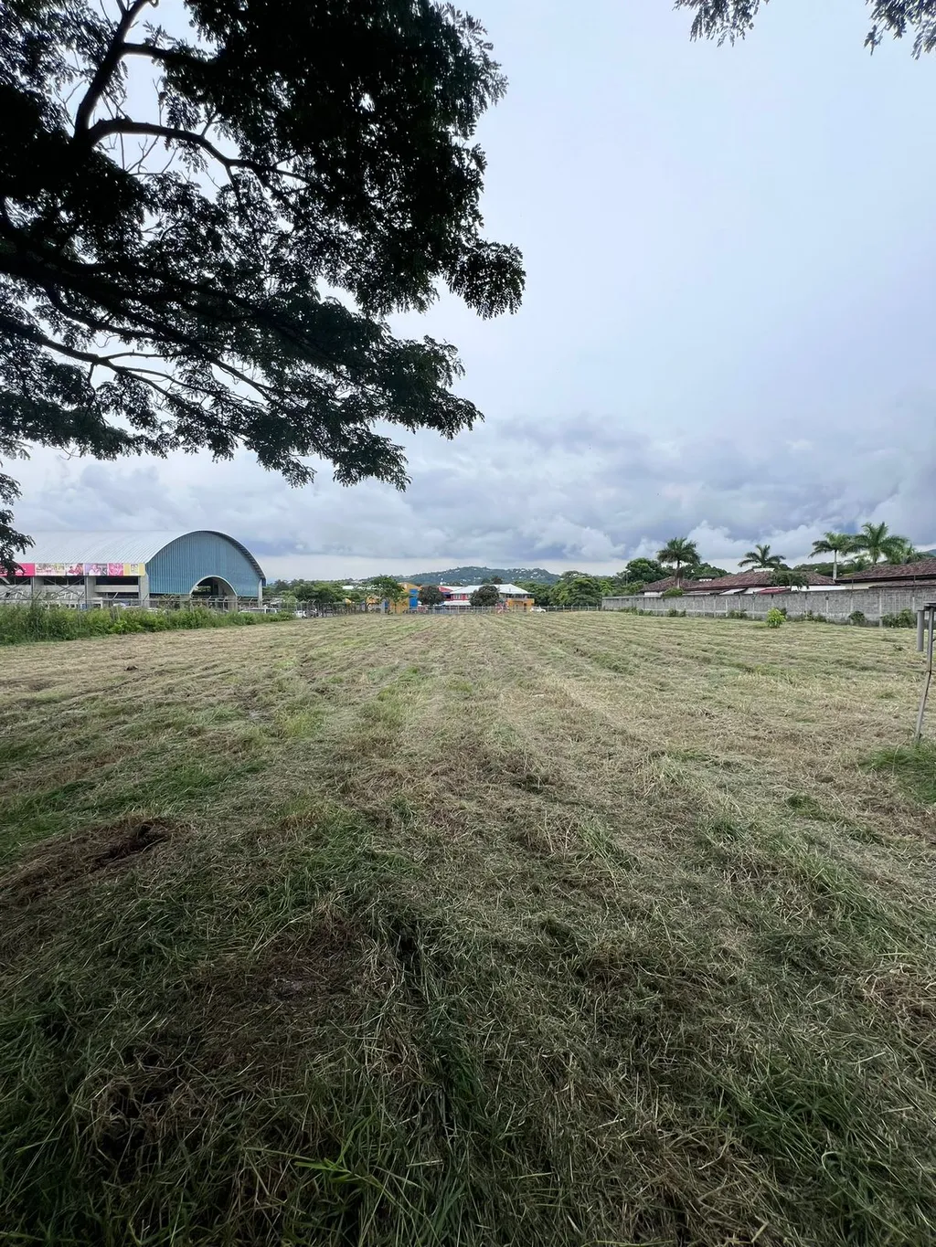  Lot in Lindora, Santa Ana - image 5