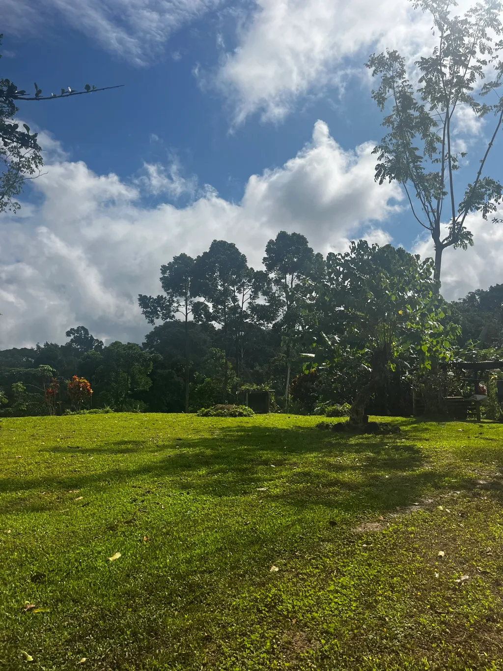  Spectacular Ecological Mountain Farm in Bijagual - image 5