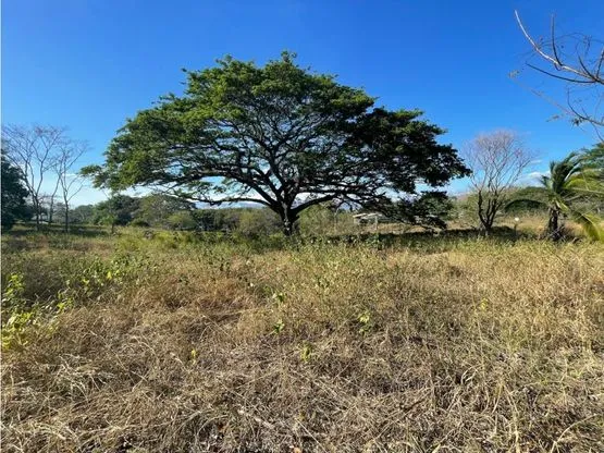 For Sale: Beautiful flat lot in La Ceiba of Orotina - image 9