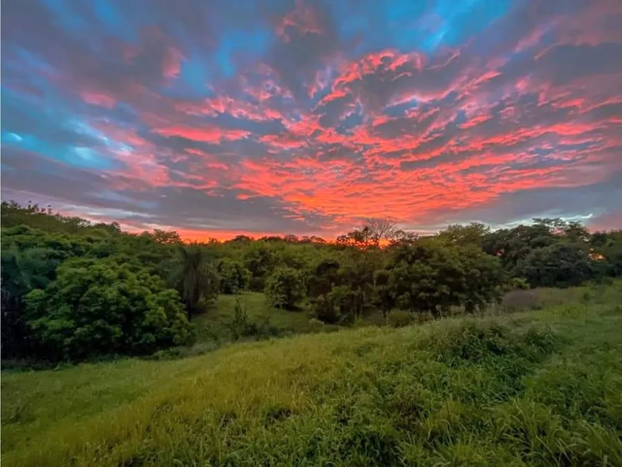 Land for Sale in Lagunilla, 20 min From Jaco- Build Your Dream Home! - image 5
