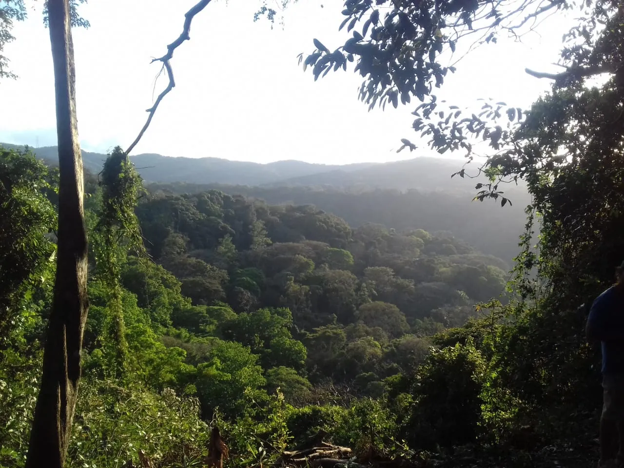 Home construction site property in Cuidad Colón - Lot for sale - image 15