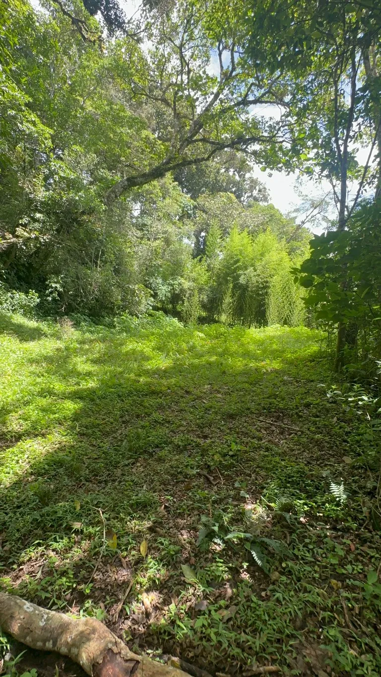 Land for Sale in Tarbaca a Natural and Tranquil Environment - image 4