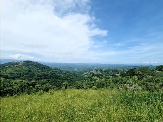 For sale: Developable land in Desmonte - image 8