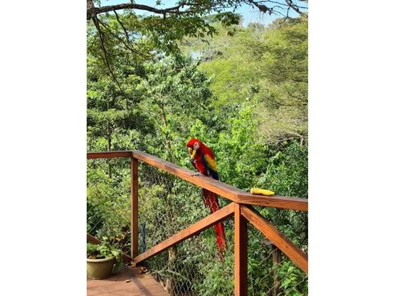  The Best Hotel in The Country For Bird Watching - image 11
