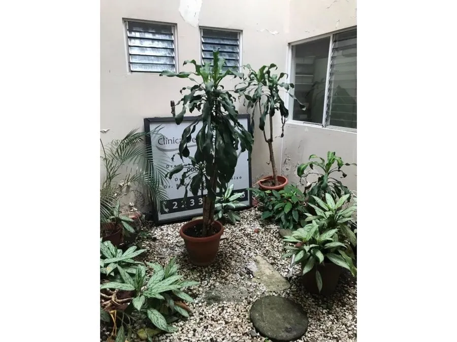 Property for Sale on Paseo Colón - image 6
