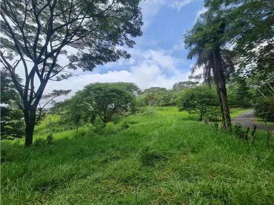 For sale: Developable land in Desmonte - image 12