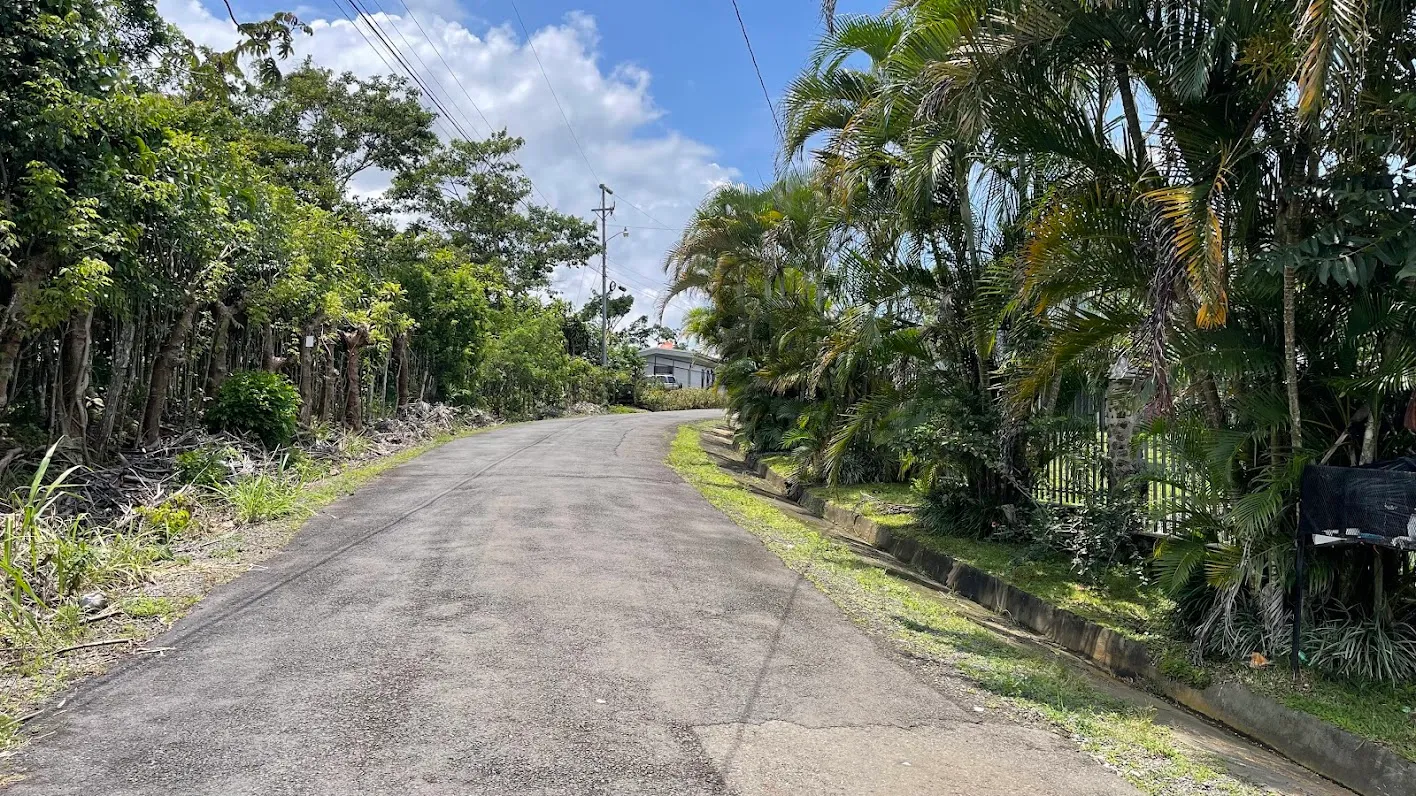 LOT FOR SALE IN SAN PEDRO, SAN RAMON - image 6