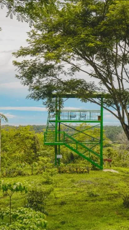  Villas Resort With Extraordinary Ocean View, For Sale!!! - image 10