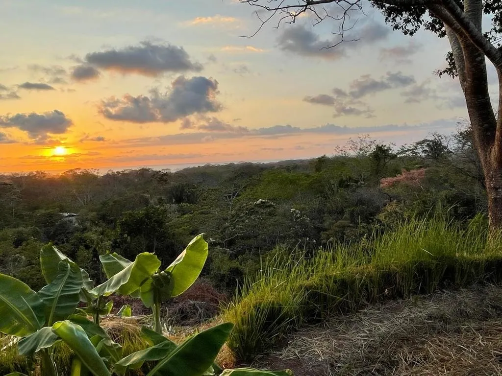 6,300m² Lot with Beautiful Valley, Ocean & Sunset Views Near Playa Hermosa - image 8