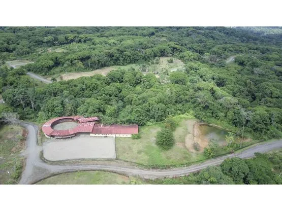 Siempre Farm and Sanctuary - image 15