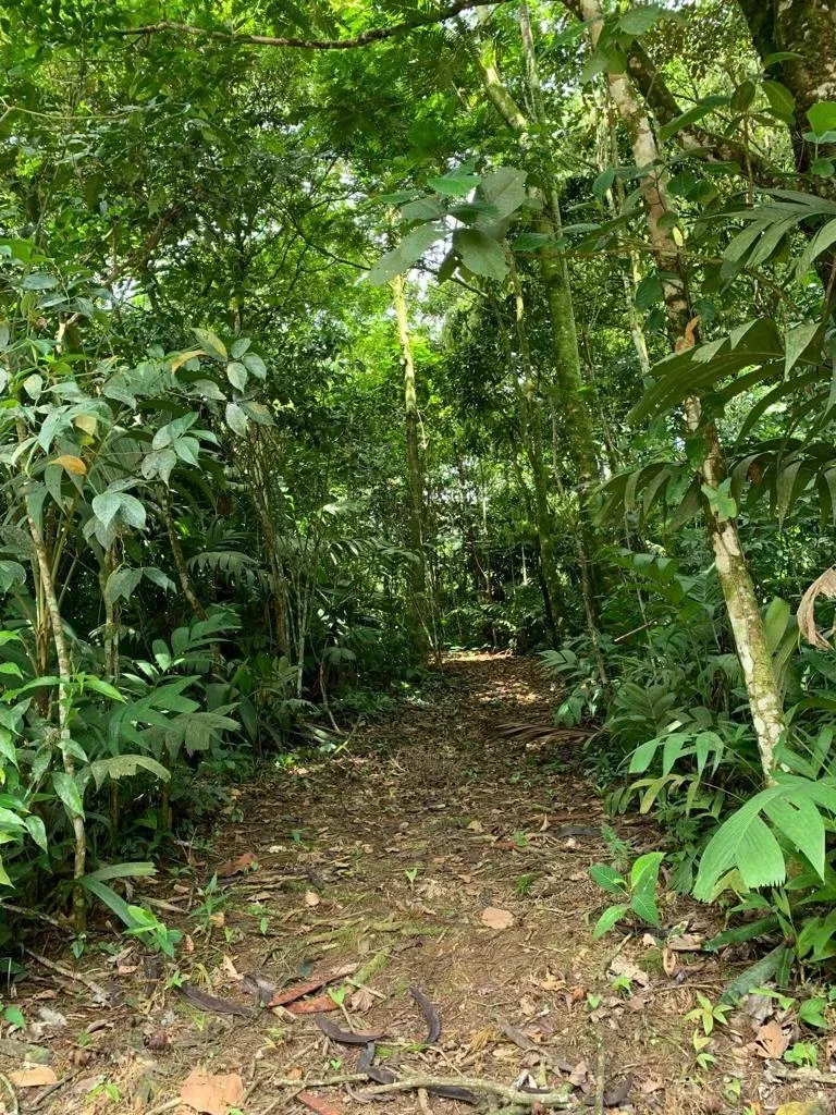 Beautiful 480,000 m² Tourist Property in Alajuela - image 6