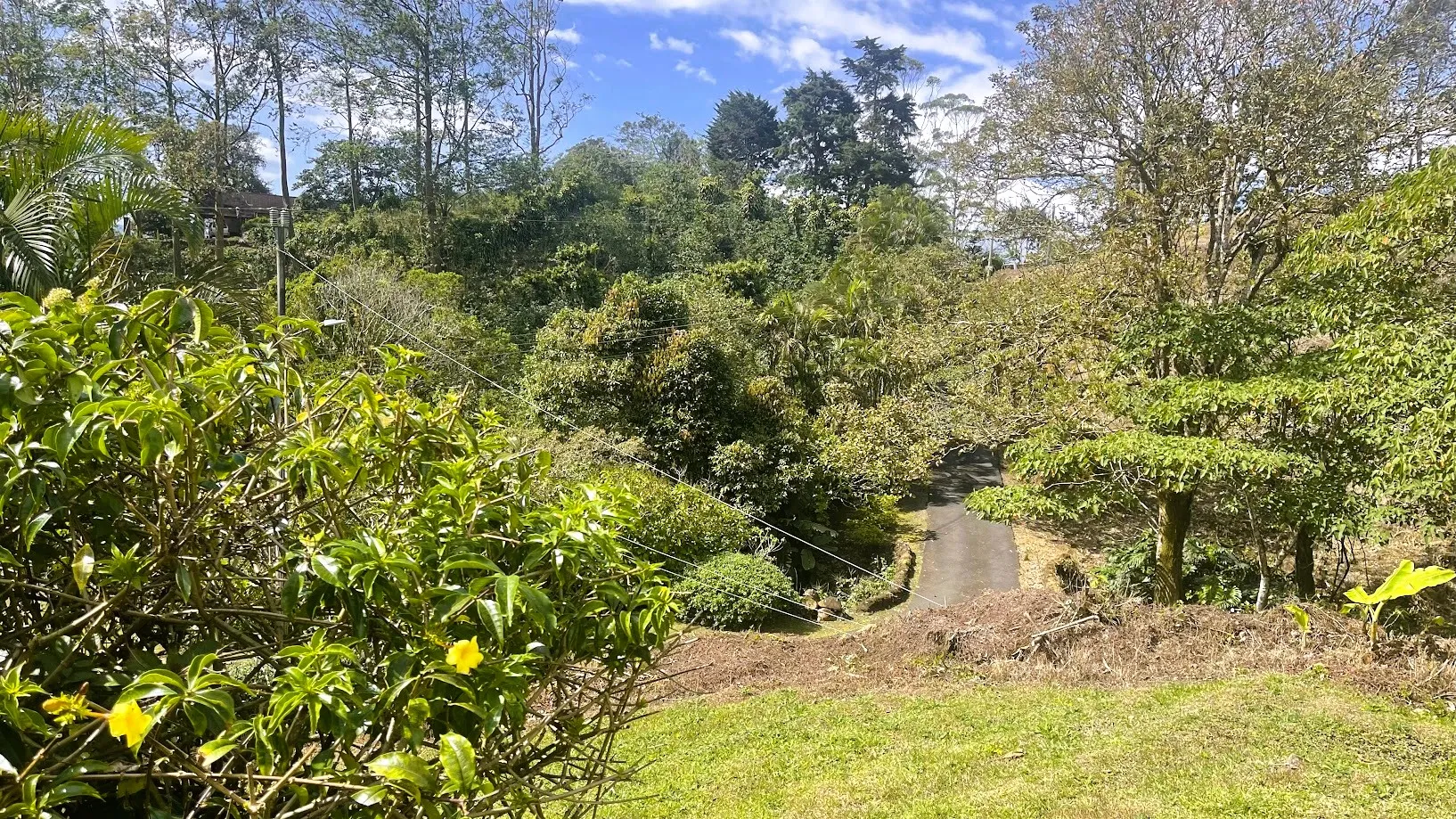 OCEAN VIEW LOT FOR SALE IN SANTIAGO, SAN RAMON - image 11
