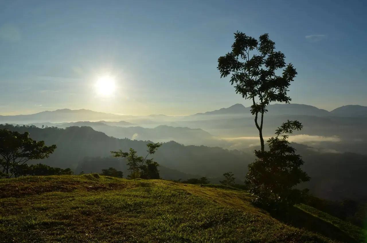 For Sale: Spectacular Lots in Gated Community in Puriscal - image 1