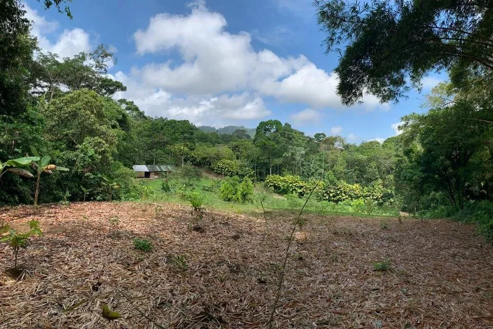 Beautiful 480,000 m² Tourist Property in Alajuela - image 8