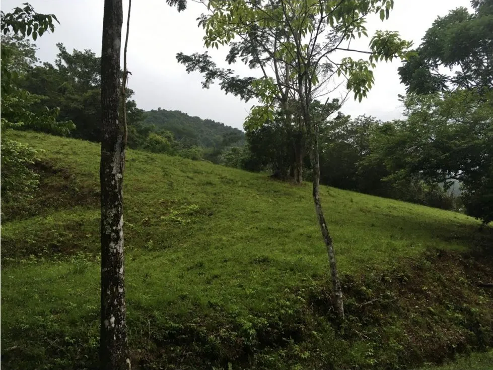  Great Opportunity to Buy Your Lot Of Land In Playa Hermosa, Jaco - image 9