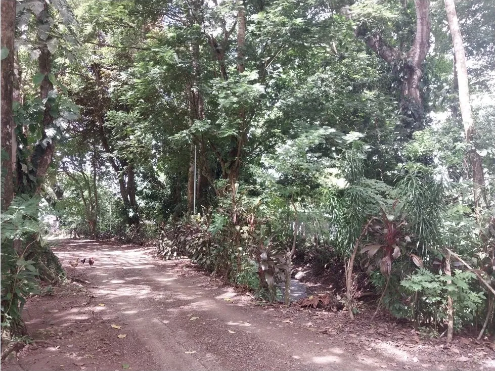  Property With Water Well And Solar Panel's System In Quebrada Seca (Jaco) - image 9