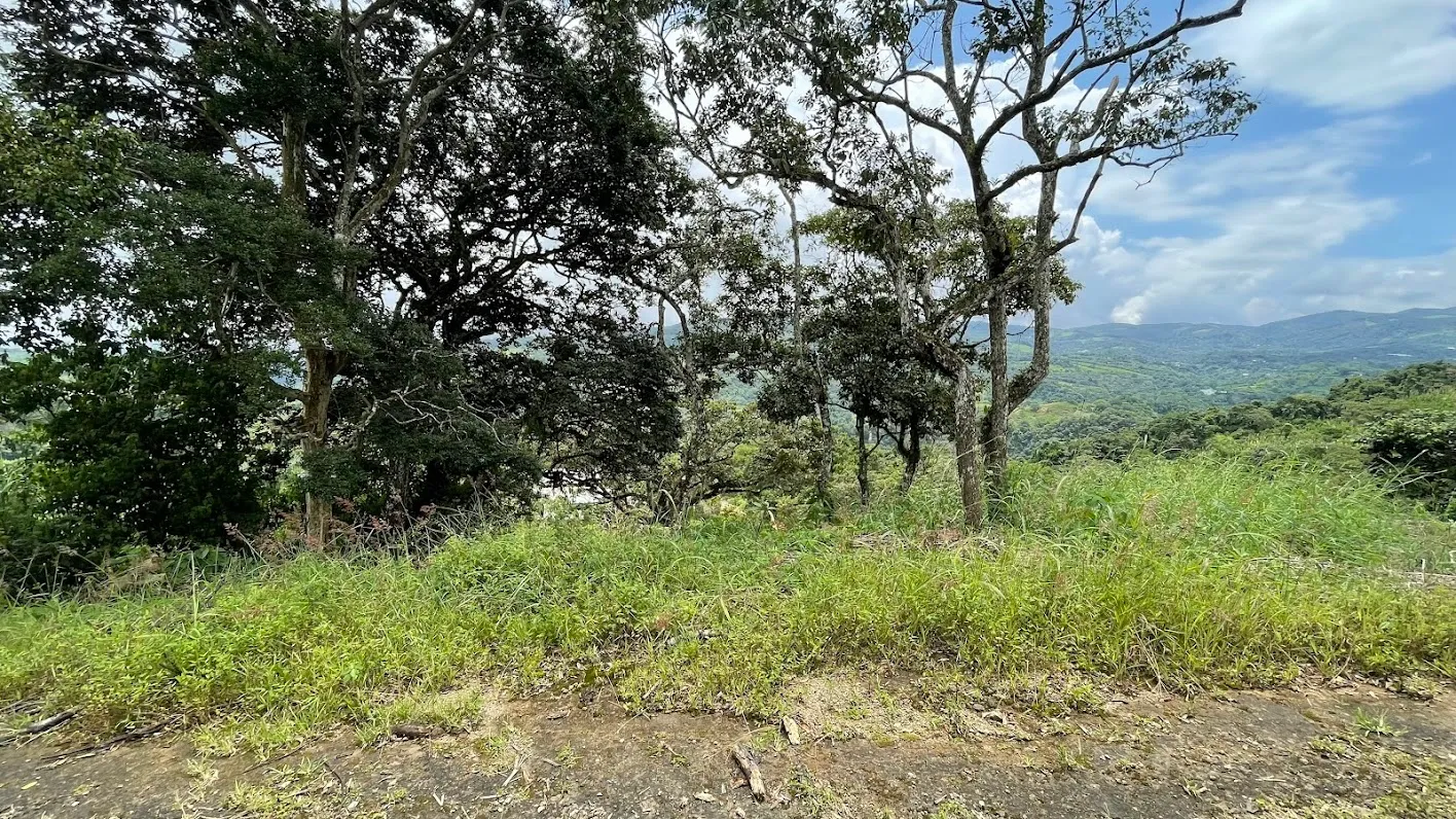 LOT FOR SALE IN SAN PEDRO, SAN RAMON - image 15