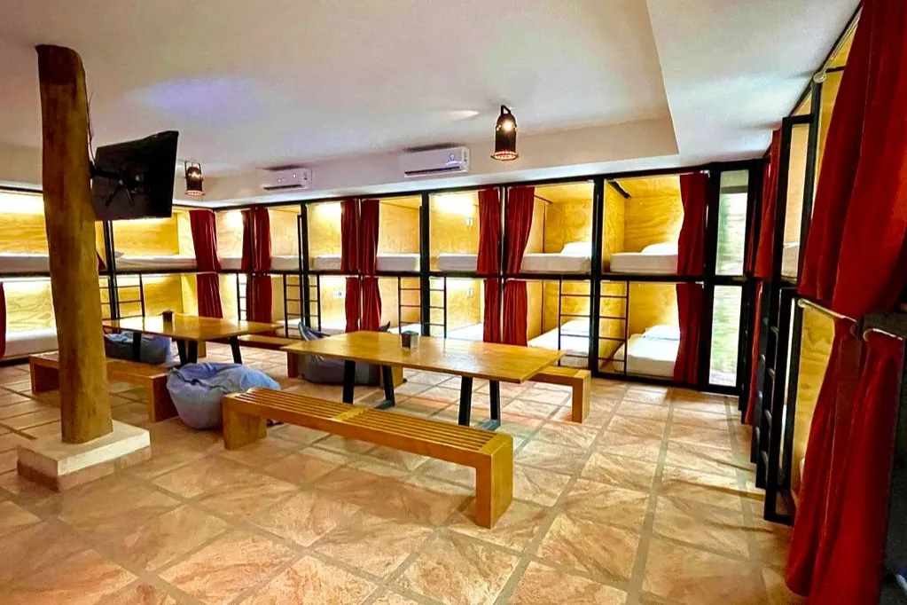  The Best Hotel in The Country For Bird Watching - image 8