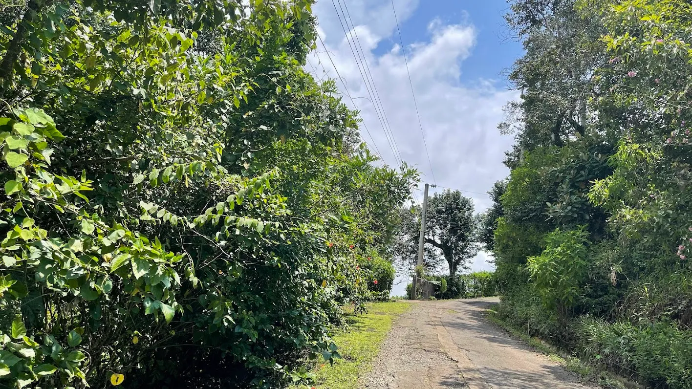 LOT FOR SALE IN SAN PEDRO, SAN RAMON - image 10