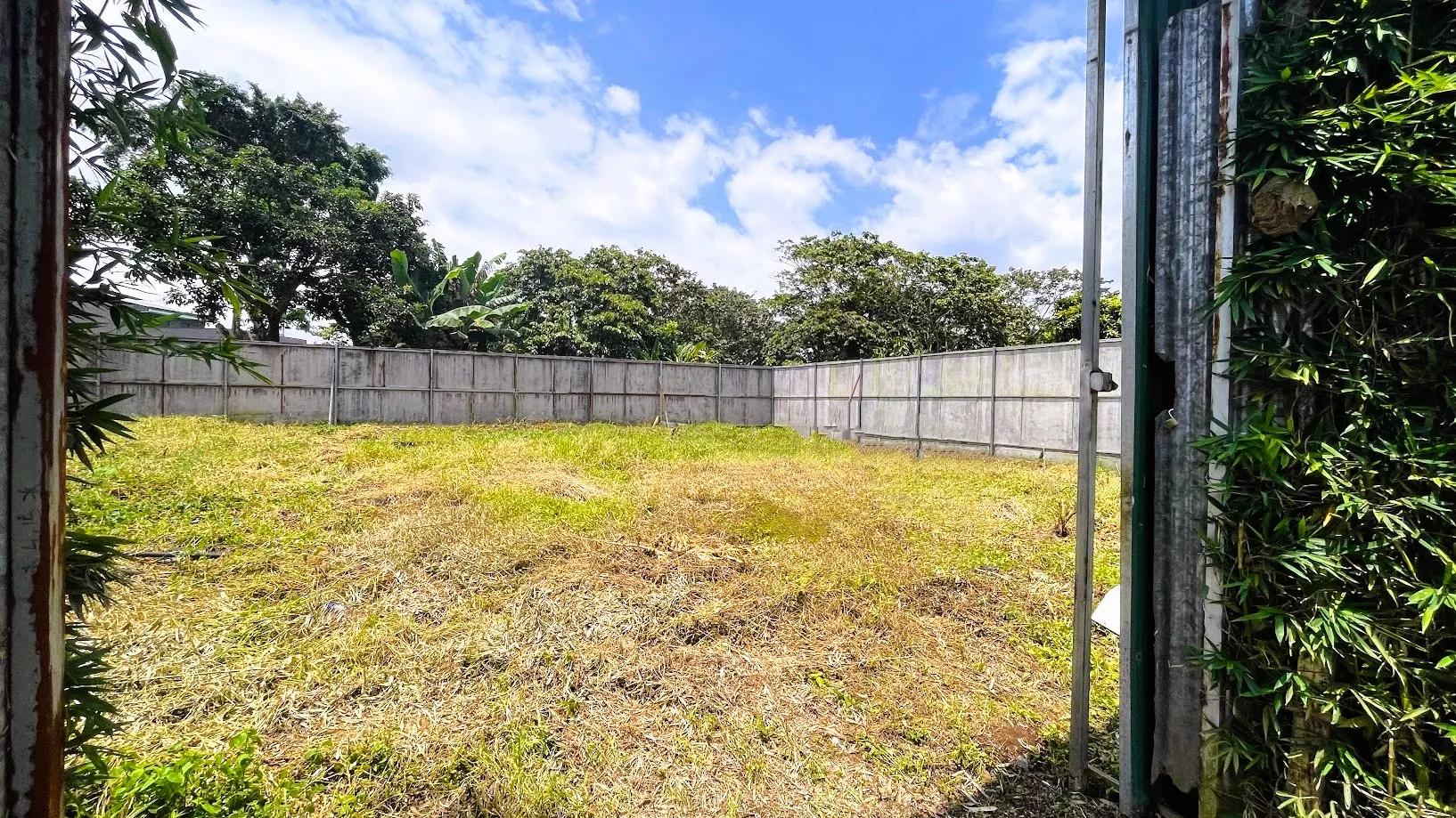 LOT FOR SALE IN SAN JUAN, SAN RAMON - image 2