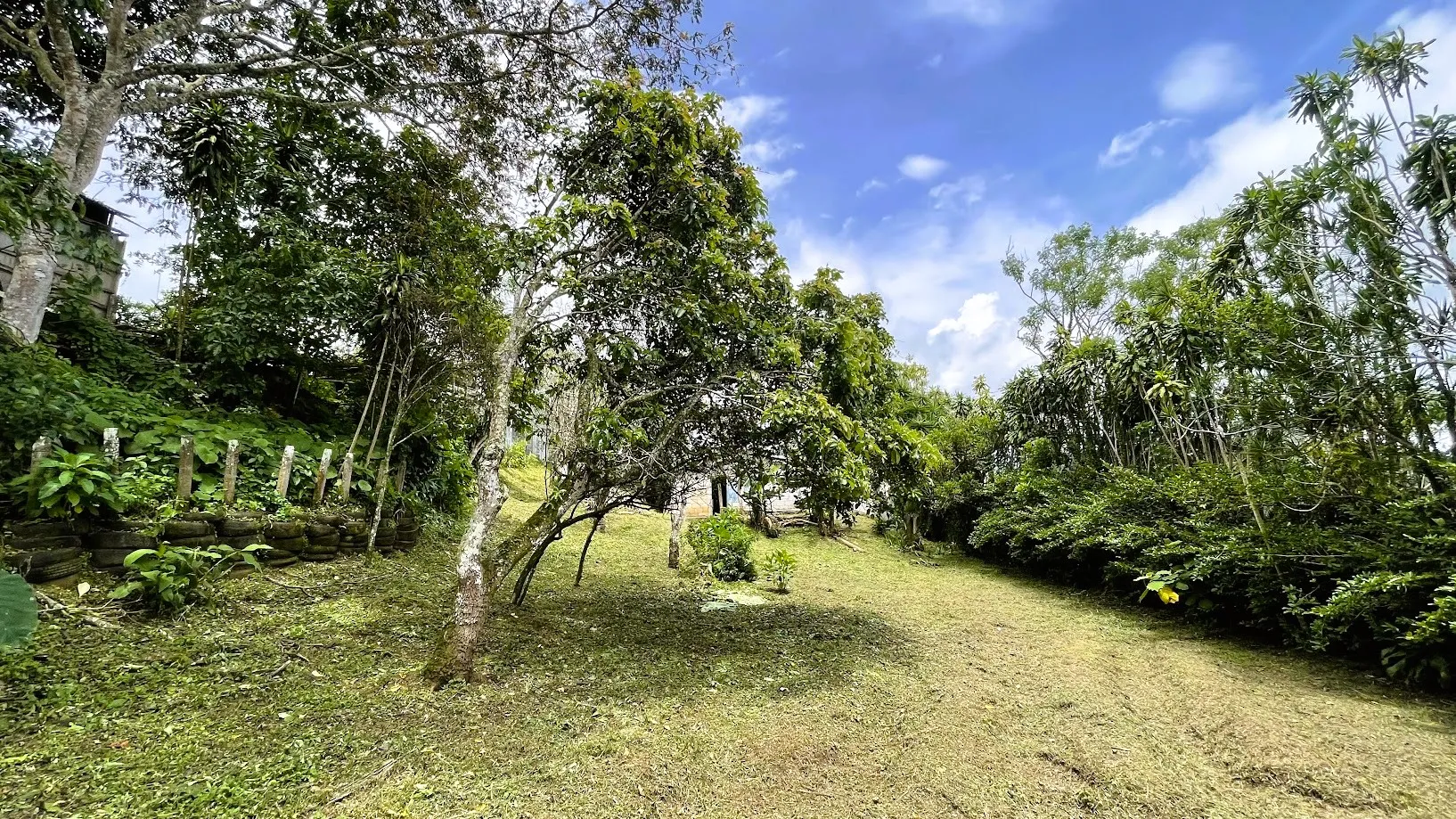 LOT WITH A HOUSE IN SAN ISIDRO, SAN RAMON  - image 5