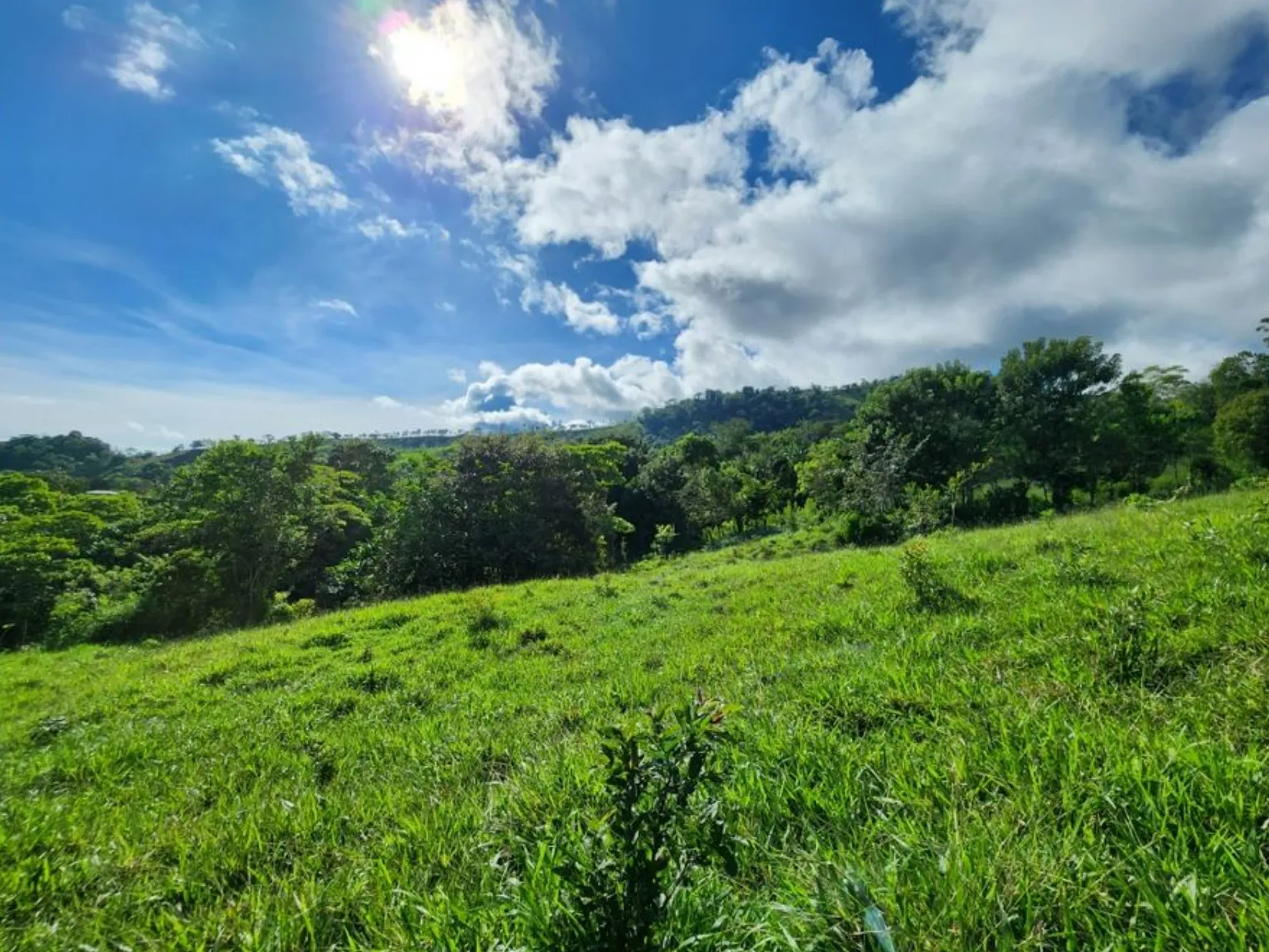 MOUNTAIN VIEW FARM & HOUSE IN PACUARITO, PEREZ ZELEDON - image 7