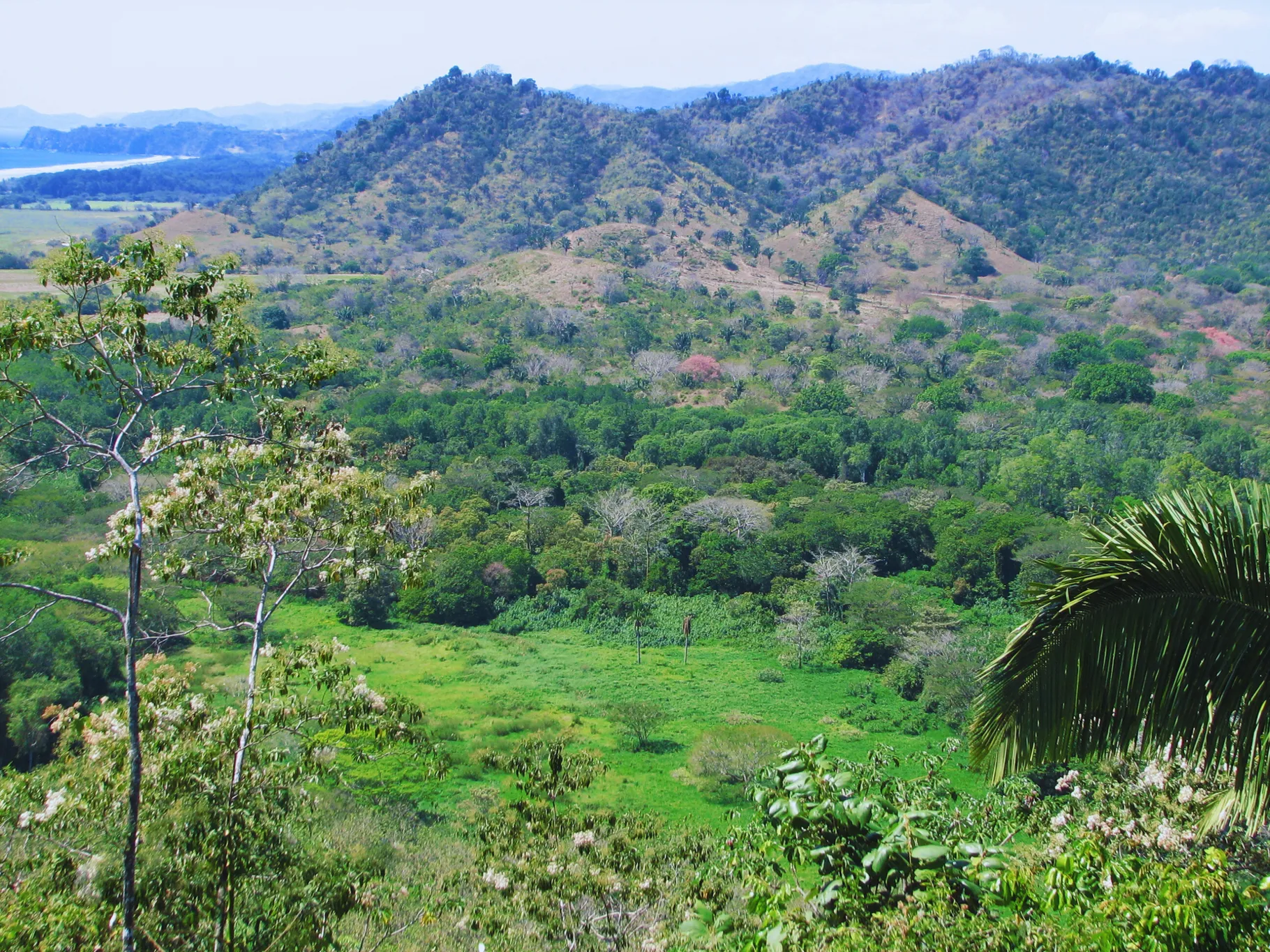 Prime Oceanview Property in Playa Coyote, San Francisco de Coyote – Unmatched Location! - image 6
