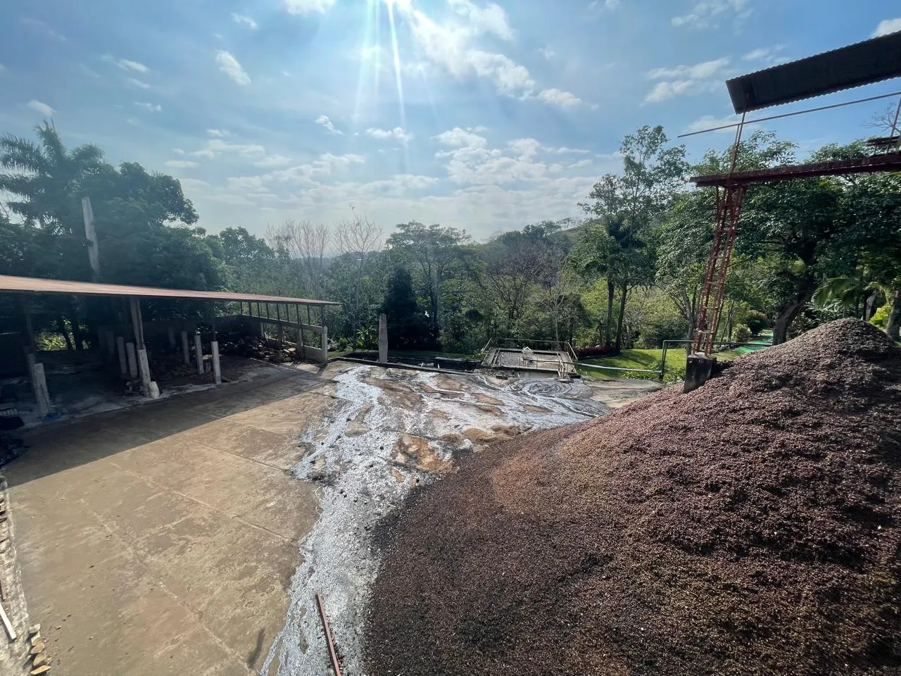 Venta Finca de Café, Beneficio y casa en Atenas - image 5