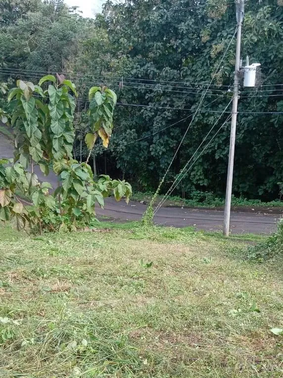 Prime Lot for Sale: 30 Minutes from the Beach – Peaceful and Growing Rural Area - image 3