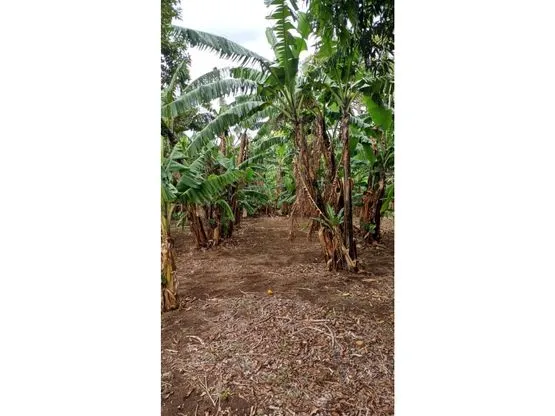 Lot for Sale in Santa Bárbara de Heredia - image 8