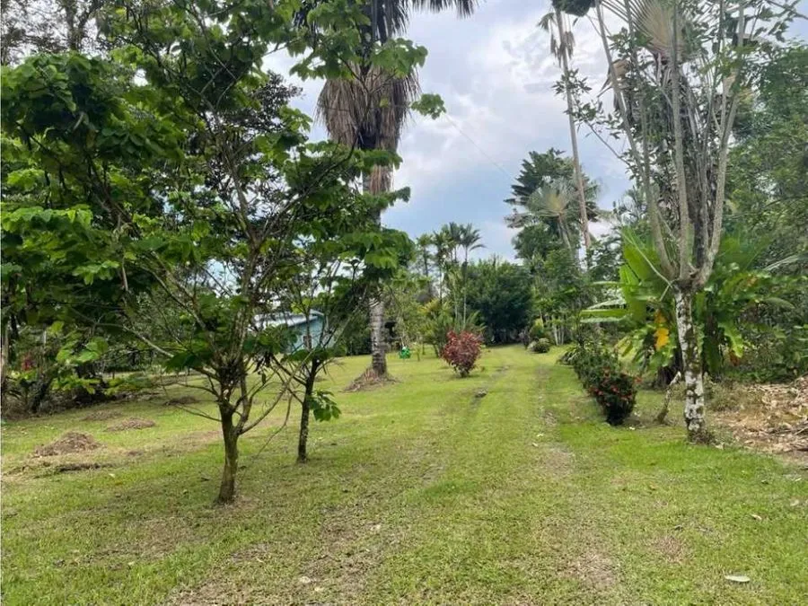 Caribbean Paradise, Guacimo, Limon - image 4