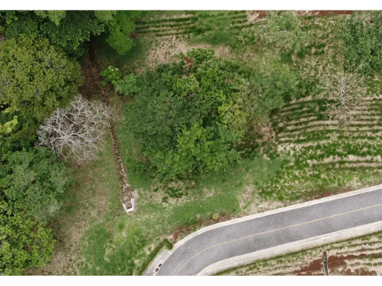 Lot in Hacienda Natura - image 1