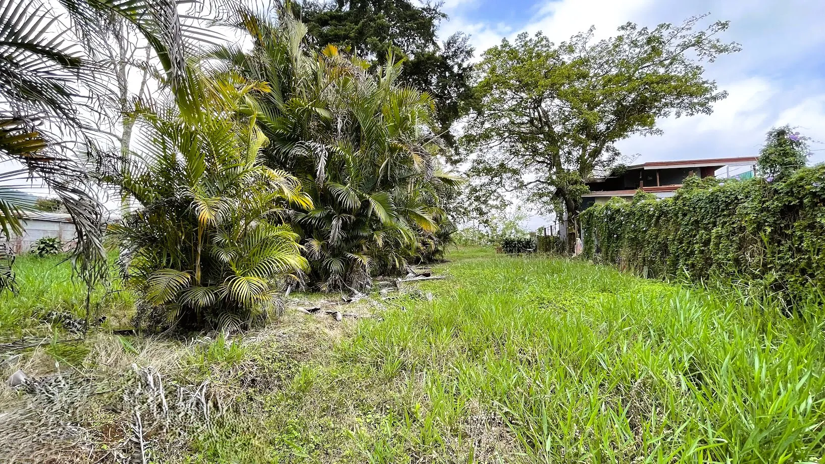 LOT FOR SALE IN SAN ISIDRO, SAN RAMON - image 15