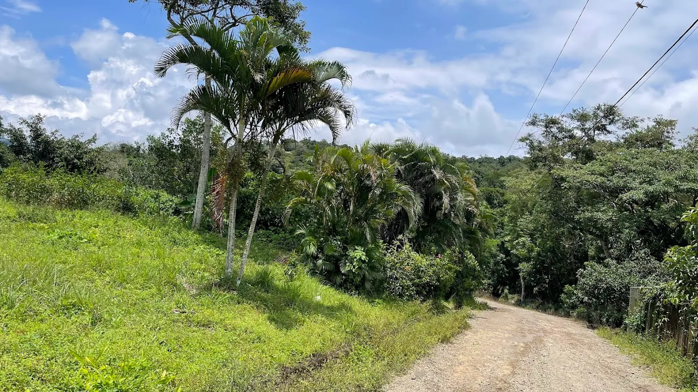 LOT FOR SALE IN SAN PEDRO, SAN RAMON - image 8