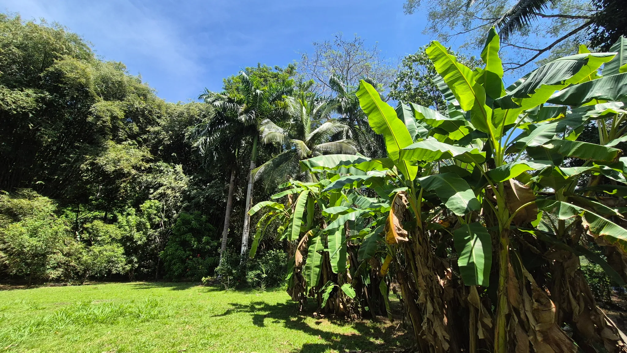 Dream Beachfront Property at Ballena Beach in Uvita, Costa Rica - image 13