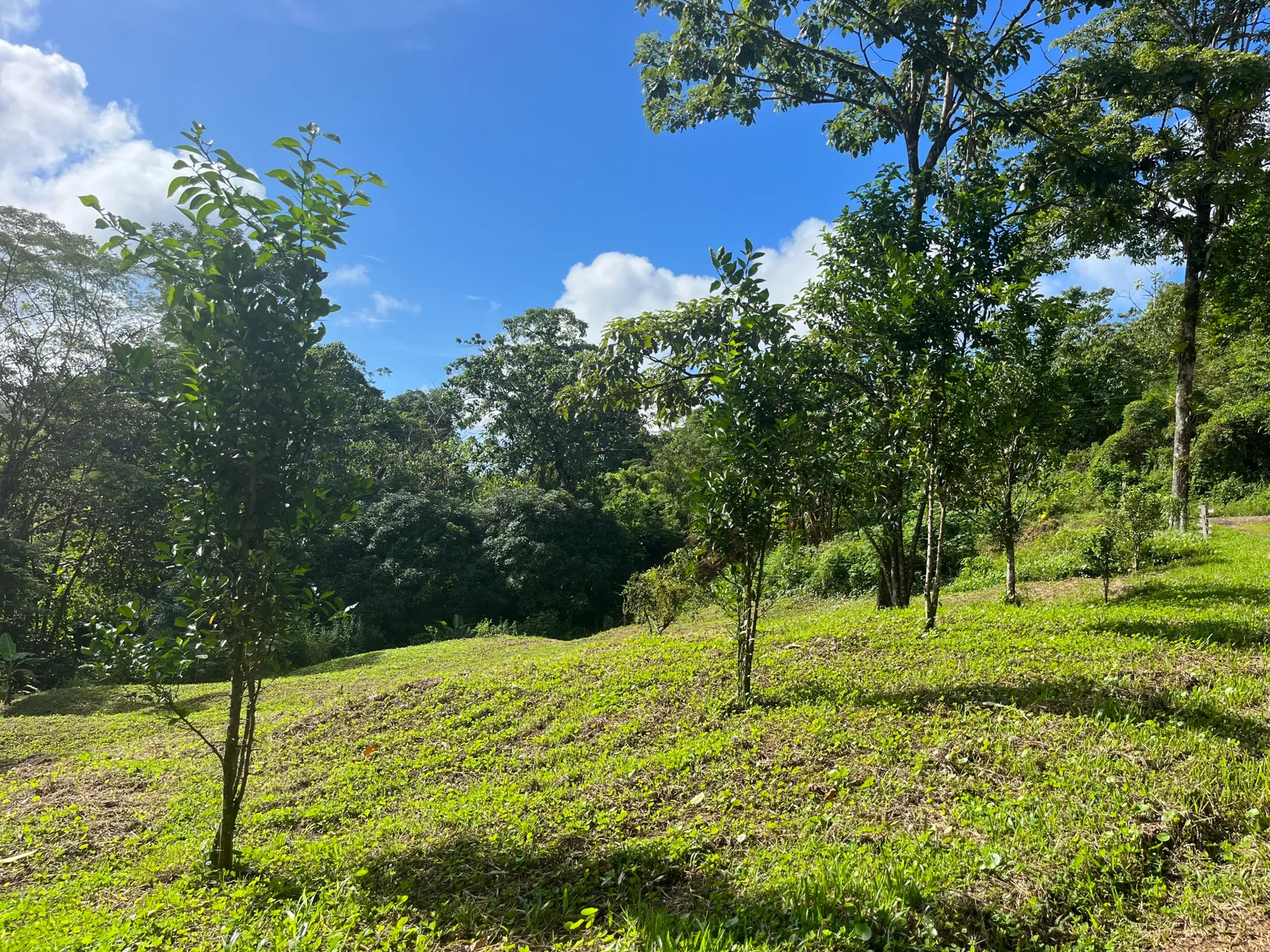  Spectacular Ecological Mountain Farm in Bijagual - image 2