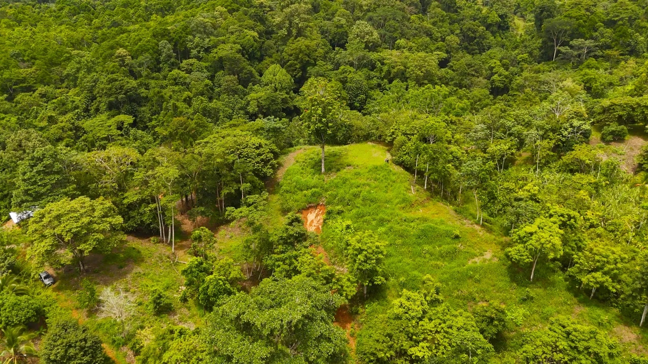 GULF VIEW PROPERTY IN PUERTO JIMENEZ, COSTA RICA - image 11