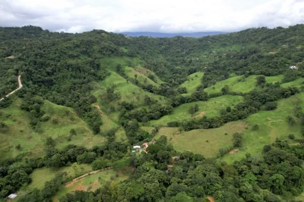 NATURAL PARADISE FARM of 203 ACRES IN BARU, PEREZ ZELEDON - image 2
