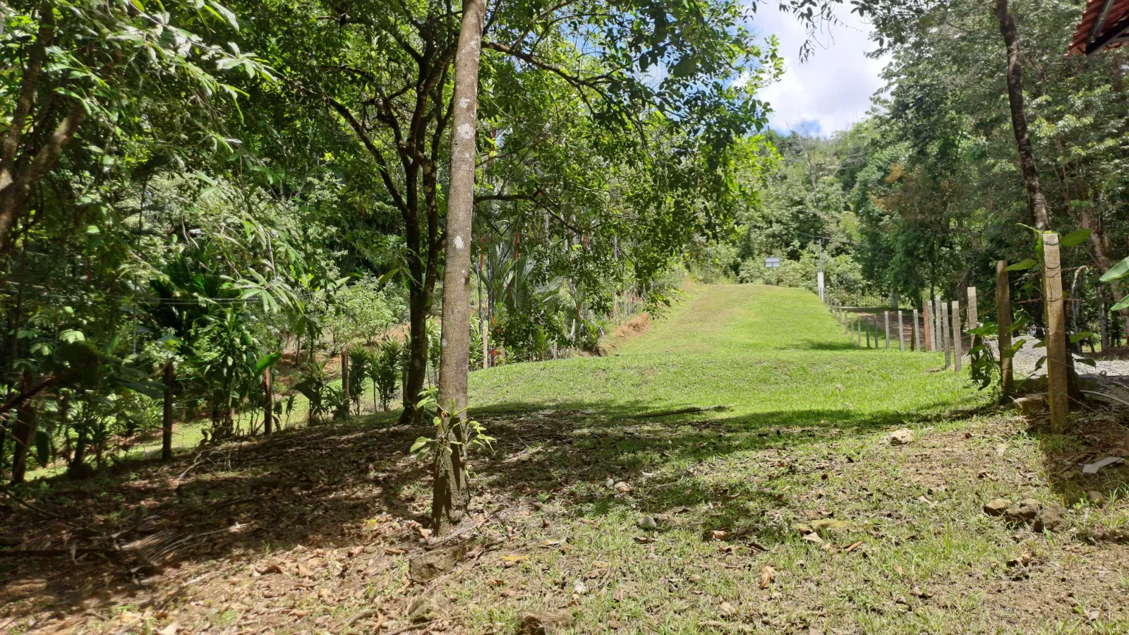 Conveniently Located Property at Playa Hermosa in Uvita, Costa Rica - image 11
