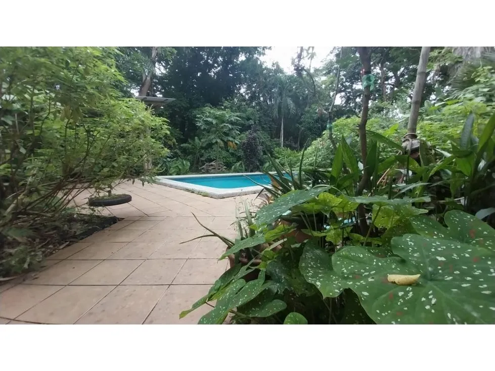 Beautiful House Surrounded By Nature. - image 6