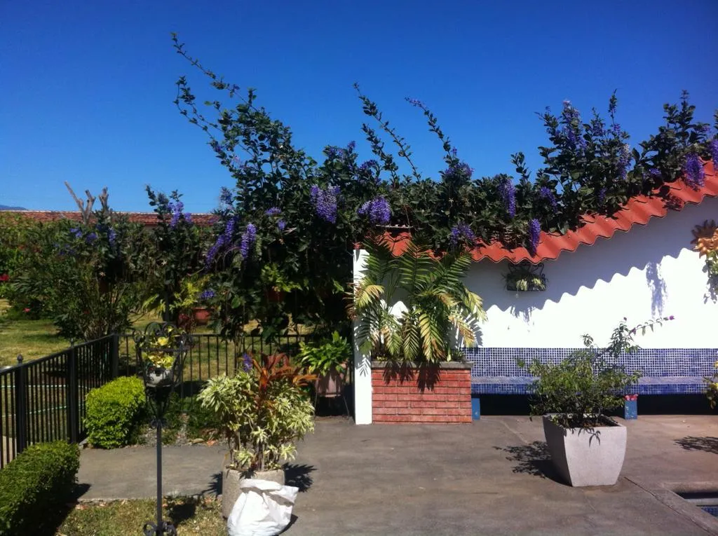 For Sale: Quinta in San Rafael de Alajuela - image 2
