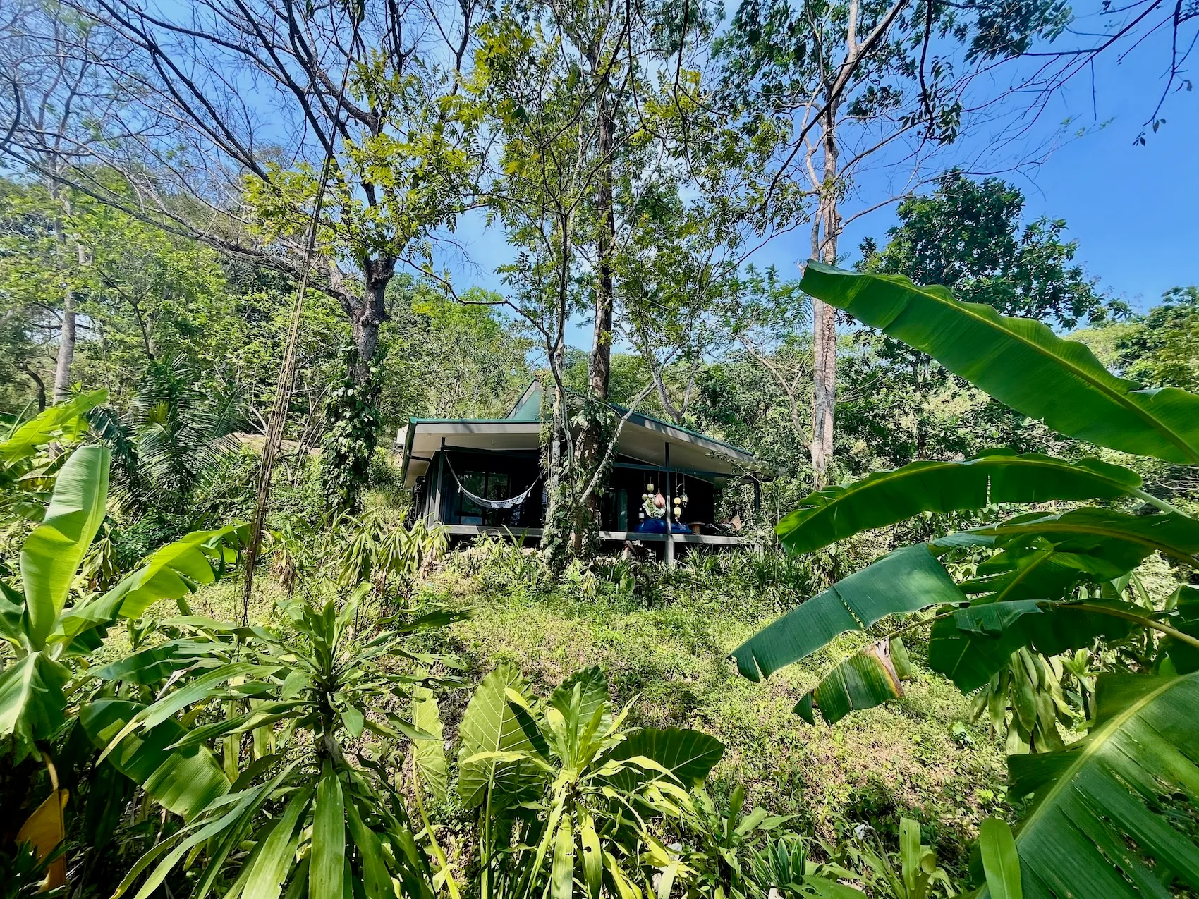 3 Homes in Santa Teresa, Costa Rica  8,000m²  minutes to Playa Carmen and Income Producing Property - image 2