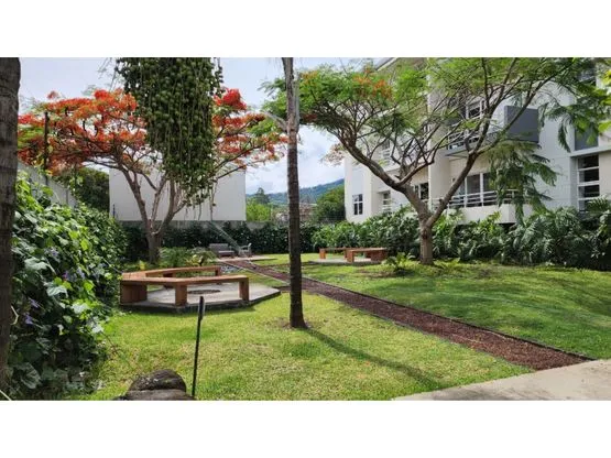 Exclusividad En Santa Ana, Condominio Tempo - image 2
