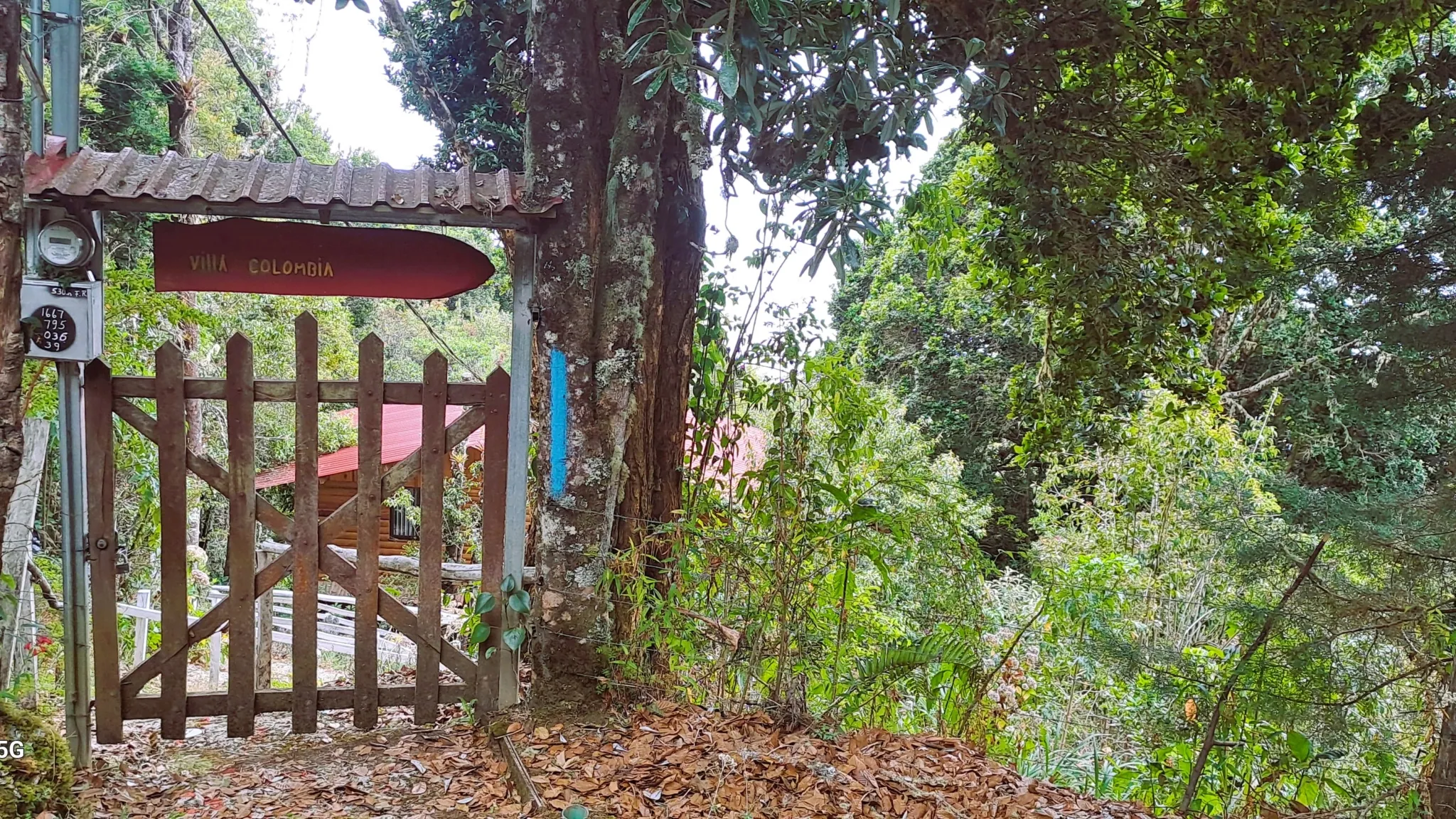 COZY MOUNTAIN RETREAT COTTAGE - image 3