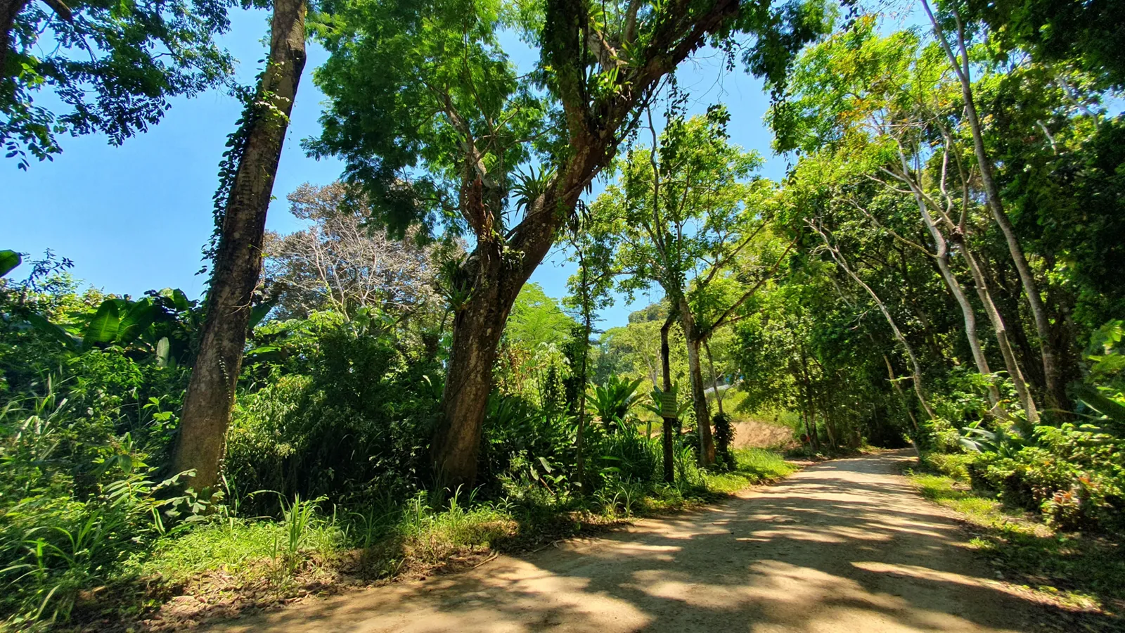 MULTIPURPOSE COMMERCIAL LAND IN OJOCHAL, COSTA RICA - image 8